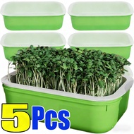 2/3/5pcs Self-Watering Seedling Tray for Kitchen/Windowsill, Home Hydroponic Sprout Grower | Hassle-
