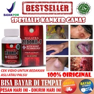 WALATRA ZEDORIL-7 Obat Penghilang Benjolan Di Payudara Ketiak Telinga Tangan Tumor Lidah Leher Kista