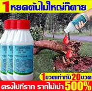 b1tG97tv/*-ยาฆ่าต้นไม้ใหญ เข้มข้นสุด 200ml 1ขวดเท่ากับ20ขวด ยาฆ่าตอต้นไม้ ตรงไปที่ราก รากเน่ารากตาย 