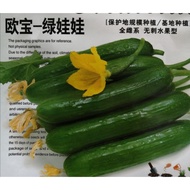 Whole female fruit cucumber seeds(10 grains)