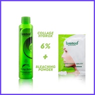 ╰ 🅸 ♚ Bremod Hair Color Package (Silver Grey 10.01) Dye hair Fashion color hair care beauty hair
