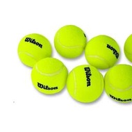 【網易嚴選】網球 Wilson威爾勝 網球 威爾遜訓練球 無壓練習球WRT13600