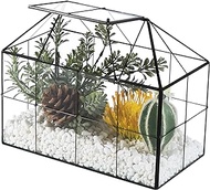 Giadun Large Glass Plant Terrarium – Black House Succulent Planter Glass Greenhouse Terrarium Kit with Lid, Indoor Tabletop Orchid Succulent Cacti Terrarium