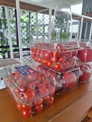 tomat segar tomat cherry merah manis fresh isi 500gr langsung dari petani lembang