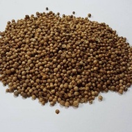 Coriander Seeds / Coriander Seeds