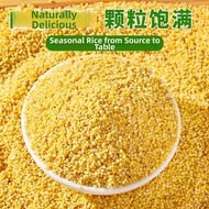 yummy food Farm-produced New Xiaomi 5 Pounds