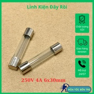 5pcs 250V 4A tube fuse size 6x30mm