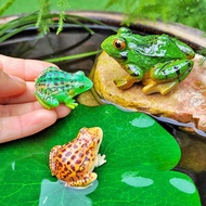 Aquarium decoration Mikro landskap kreatif simulasi katak perhiasan model halaman kolam ikan tangki 