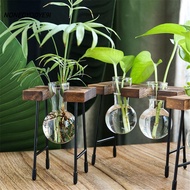 NONEDYODYE9I Glass Vase Vintage Bonsai Planter Wooden Frame