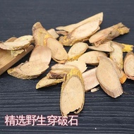 Wild Through Stone Root Chinese Herbal Medicine Chuanpo Stone Floor Cotton Root Tree Root Tree Root 