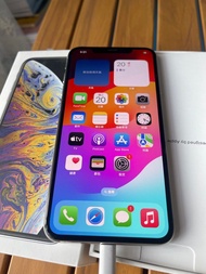 iPhone XS Max 256G