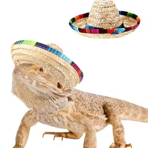 New Straw Woven Mexican Hat Colorful DIY Decoration Mexican Sombrero Festival Headdress Pet Supplies