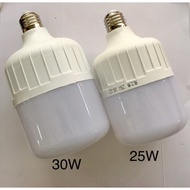 25W / 30W Bulb Light