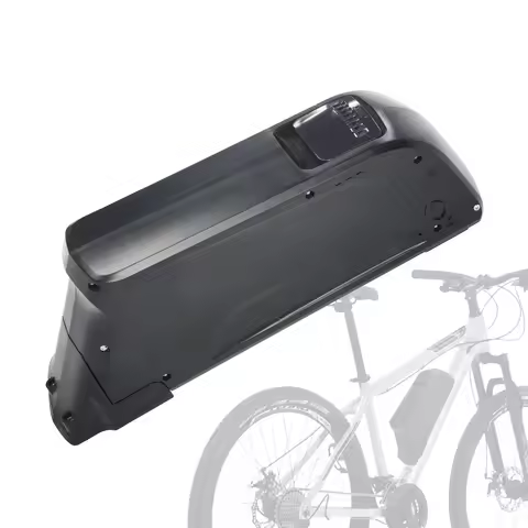 Dolphin Ebike Battery 48V 10Ah 12Ah 14Ah 36V 15Ah 20Ah 52V 14Ah Electric bicycle Battery with Charge