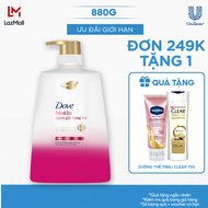 Dầu gội Dove Biotin Ngăn gãy rụng tóc 880g (bao bì tùy lô nhập hàng)