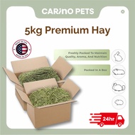 [24HR SHIP] PREMIUM SOFT TIMOTHY HAY 5KG Imported Timothy Hay Lucerne Hay Rabbit Guinea Pig Chinchil