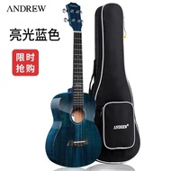 AT/💝Andrew（ANDREW）Full Veneer Ukulele23InchukuleleUkulele Beginner Small Guitar JDF7