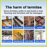 Uisdm termites DPP Termite spray killing  termite killer spray Anay termit killer for wood Solignum