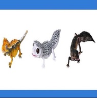 ♻️3️⃣♻️  新箱識 🌟8月新貨🌟 現貨 行版 BANDAI 扭蛋 大圖鑑變種豹紋壁虎 豹紋守宮 黑夜 大圖鑑系列 豹紋壁虎&睫角守宮  守宮 鳳頭壁虎 / 豹紋壁虎