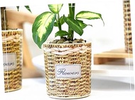 Levemolo 2pcs Flower Storage Organizer Live Succulents Plants Round Planter Woven Planter Flower Pot