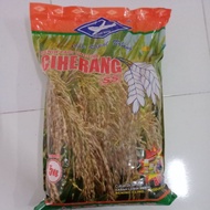 ready Benih Padi Unggul CIHERANG SS/ Bibit padi CIHERANG SS Bobot 5kg