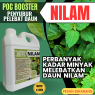 Pupuk Nilam Penambah Minyak Nilam / Pupuk Daun Nilam Agar Melebatkan Batang Dan Daun / Minyak Nilam.
