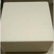 Mini foam box for chiller product/保丽龙( NEW)( SQUARE)