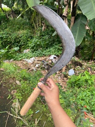 Arit rumput super tajam bahan damascus cocok untuk mencari rumput