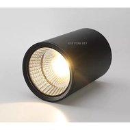 Ceiling decorative light 12w