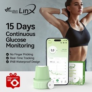 LinX CGM Continuous Glucose Monitor System 24h Real-time Blood Sugar Test No Finger Pricking