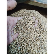 HITAM Ingredients Coriander / Original Coriander / Black Coriander / Health Coriander 1 Kg