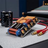 A dual path filtering system designed for 10 and 12 inch speaker networks, featuring a high-quality 
