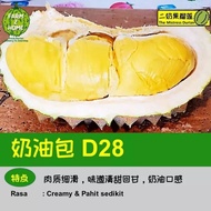 Durian D28 Anak Pokok