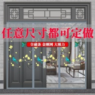 Special Mosquito Net Door Curtain for Main Door, Rural Self-Built House Entry Door, Villa Screen Win