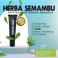 Semambu Herbal Cream - hfmd chicken pox - by ZM Beauty