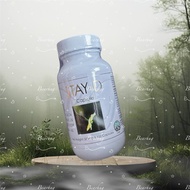 E.excel excel  Stay-D 丞燕 衡定-D