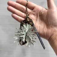 侏儒爪哇鹿角蕨_皮革吊飾 / 送禮