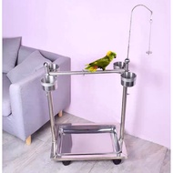 Parrot Stand stainless steel stand. XL size 56x40x71cm(ht) . Extendable to 110cm. 2 Option-19mm or 2