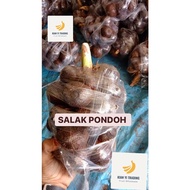 Salak Pondoh From Indonesia