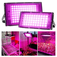 GRAXIDEA Lampu LED Grow Light Lamp Hydroponic Plant Growth 100W