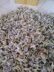BARANG TERLARIS Sarang burung walet patahan 1/4 kg