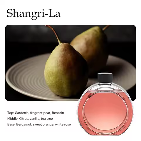 New Household Humidifier Hydrating Instrument USB Aromatherapy Desktop Diffuser Atomizer Desktop Hum