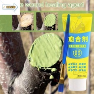 CAUSI Grafting Tree Sealer, Smear Agent 100g Tree Wound Sealant,  Tree Repair with Brush Plant Resto