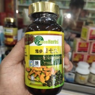 泡参田七丸 Ginseng&amp;Notoginseng Capsule