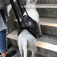 เบอร์ XL 1ชิ้น (วัดรอบตัวก่อนสั่ง) อุปกรณ์พยุงตัวสุนัข แผ่นพยุงสุนัข อุปกรณ์กายภาพสุนัข แผ่นรองช่วยย