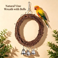 Parrot toys, Vine Circle, Budgie, Cockatiel, Love Bird Parrot, Swing Parrot toys