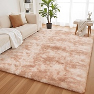 YOBATH Large 6x9 Area Rugs for Living Room Bedroom, Fluffy Fuzzy Shaggy Carpet Shag Rugs for Girls B