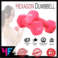 Hexagon 1KG Dumbbell 2kg Dumbbell 3kg dumbbell 1KG Dumbbell 2KG Dumbbell 3KG Dumbbell 女士哑铃 健身哑铃 Ladies Small Dumbbell