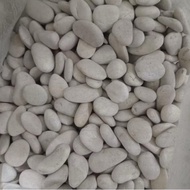 White Coral Stone Brush Stone/ Ideal Size Coral Stone/ for Garden Decoration Natural Decoration