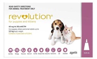Nhỏ gáy Revolution trị ve cho mèo từ 2.4kg - 7kg